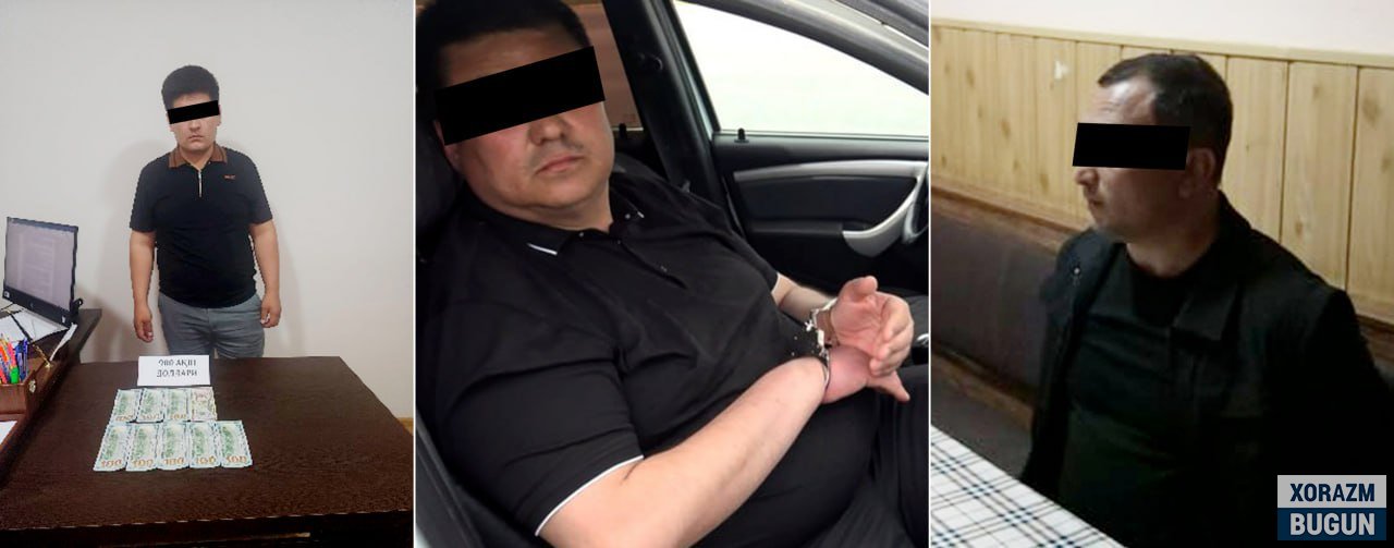Хоразмда солиқ инспекторига, Қашқадарёда эса суд-экспертиза маркази ходимига нисбатан жиноят иши қўзғатилди