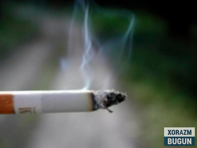 Дунёда қанча одам сигарет чекиши маълум бўлди