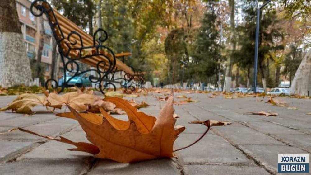 Ҳаво кескин совиши маълум қилинди, иситиш мавсуми қачон бошланади?