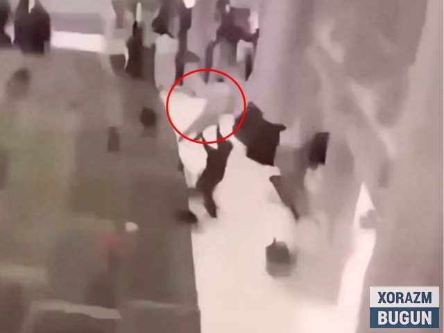 Саудияда эркак Масжидул Ҳарамдан ўзини ташлади