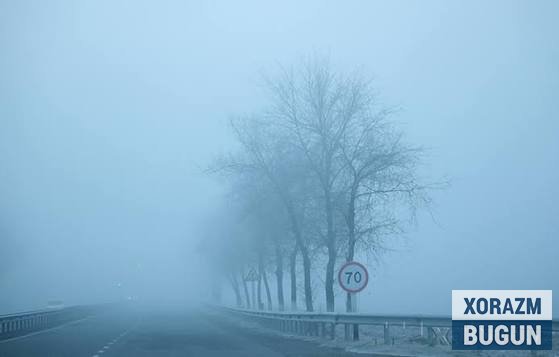 Эртага Хоразмда туманли ва қуруқ об-ҳаво кузатилади