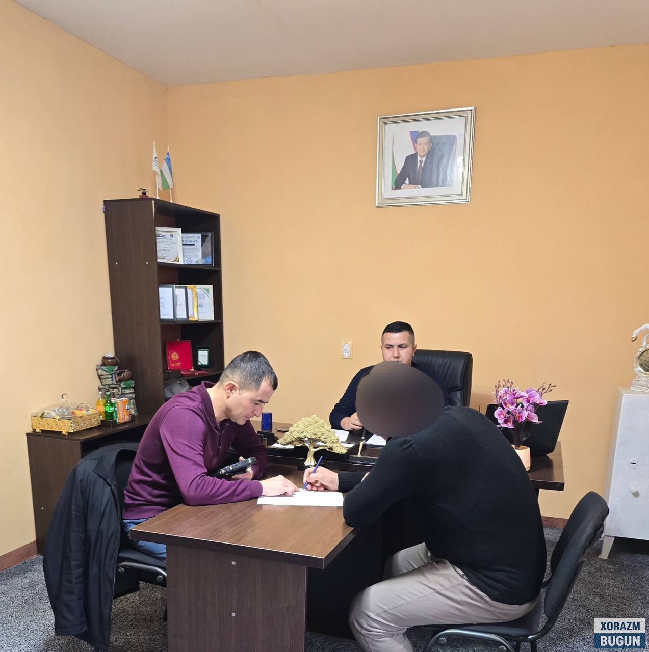 Хоразмда қимматбаҳо дарахт ноқонуний кесилди — экологик ҳуқуқбузарлик фош этилди