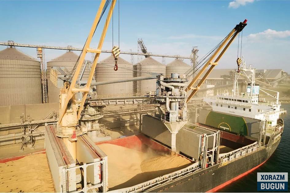 Россия 2025 йилда Украинанинг босиб олинган ҳудудларида етиштирилган 2 млн тонна донни экспорт қилди