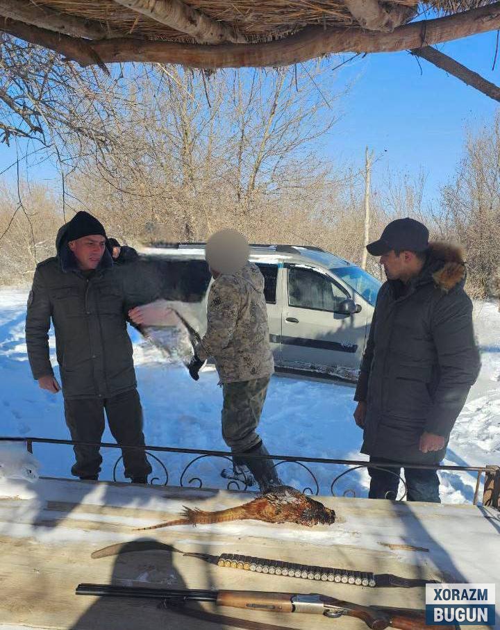 Хоразмда ноқонуний ов қилиш ҳолати аниқланди