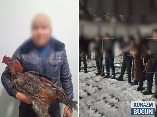 121 киши иштирокида қимор ташкил қилган шахс ушланди