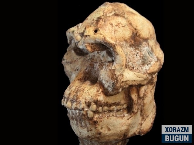Олимлар 3,7 млн ёшли одамнинг юзини қайта тиклади