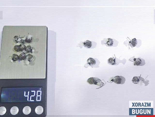 Автобусда наркотик сотаётган ҳайдовчи ушланди