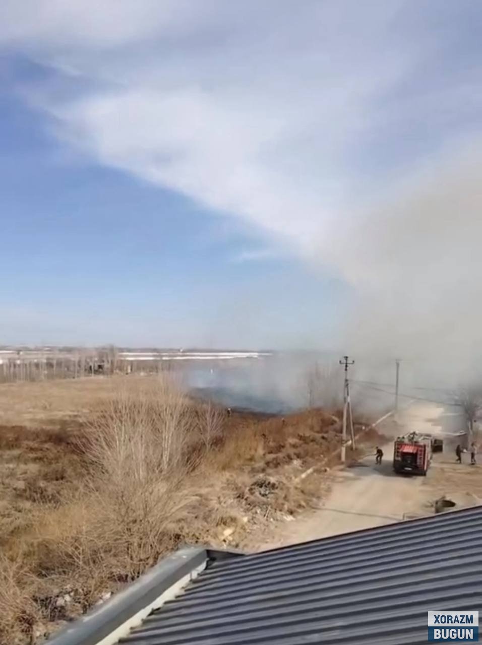 Урганч туманида далада ўсимлик қолдиқларини ёққан фуқаро жаримага тортилди