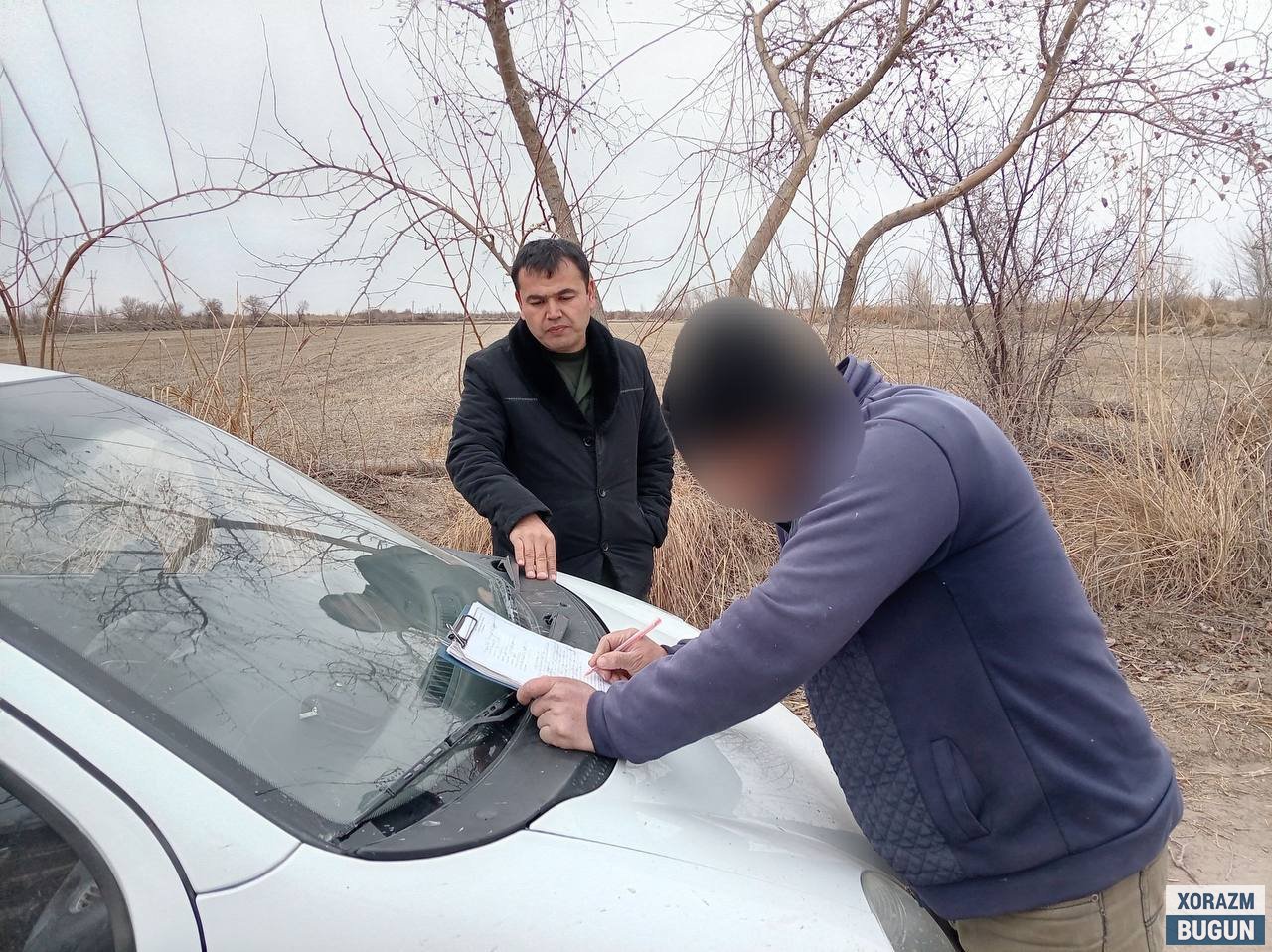 Хоразмда ноқонуний дарахт кесиш ҳолати аниқланди