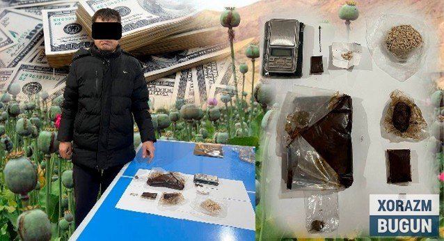Хоразмда гиёҳвандликка қарши тезкор тадбир: катта миқдорда “опий” ва “героин” мусодара қилинди