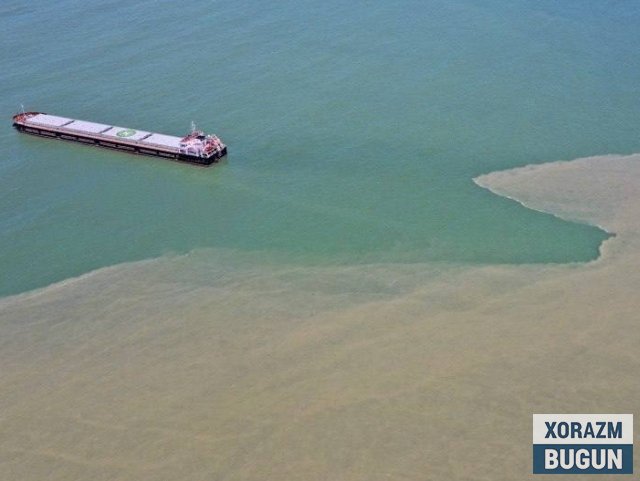 Туркияда денгиз суви ғайриоддий рангга кирди
