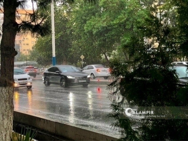 Эртага айрим жойларда ёмғир ёғади