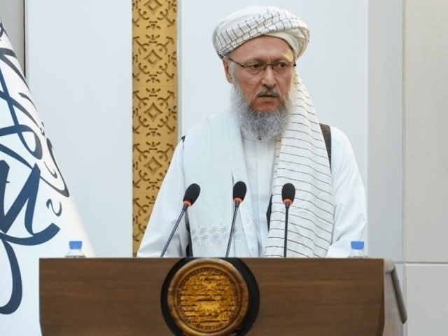 “Tolibon” törtta yönalişda soliq imtiyozlarini joriy qildi