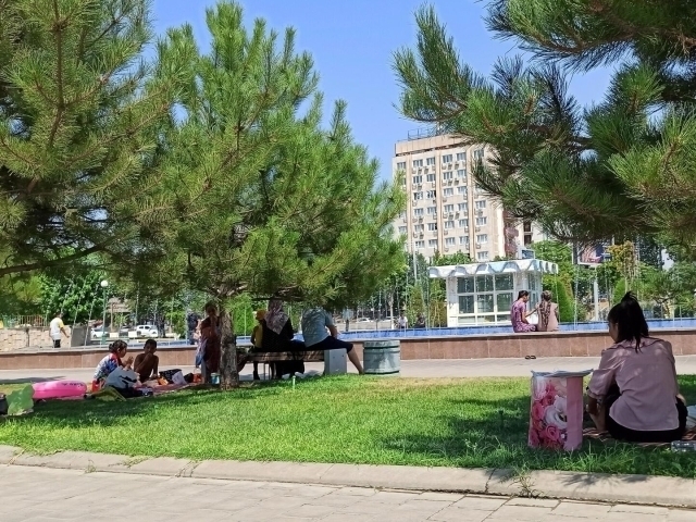 Эртага ҳаво 42 даражагача исийди