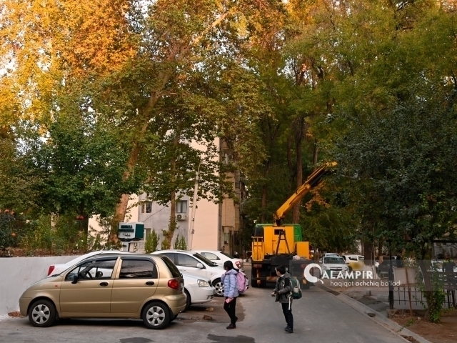 Бугун об-ҳаво қандай бўлиши айтилди