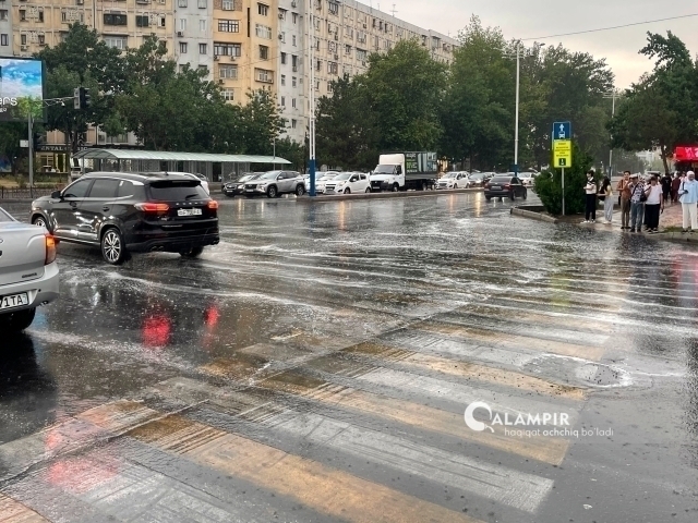 Эртага айрим жойларда ёмғир ёғади