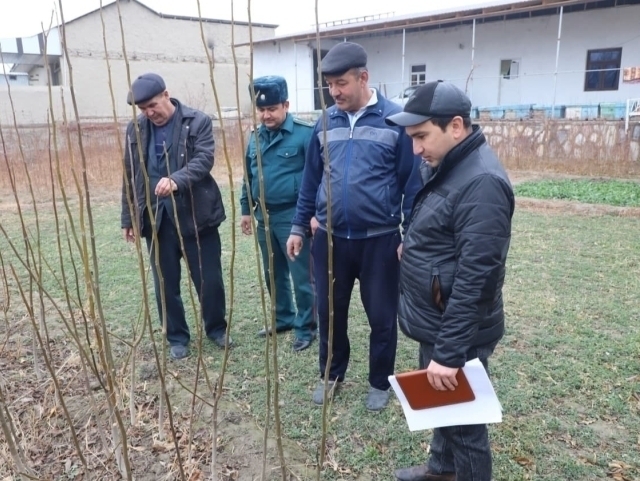 Ўзбекистонда қарийб 9 минг ҳоким ёрдамчиси лавозимидан “учади”. Агар...